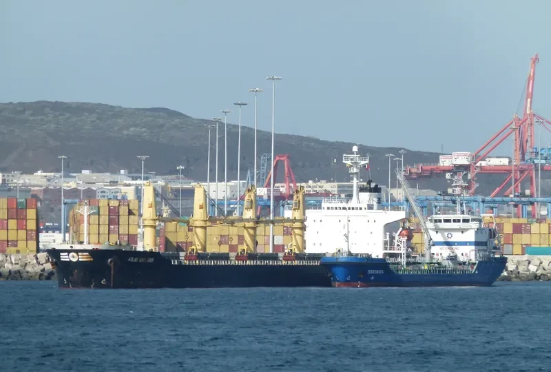 ALBY MELODY Bulk Carrier IMO 9109902 photo 6
