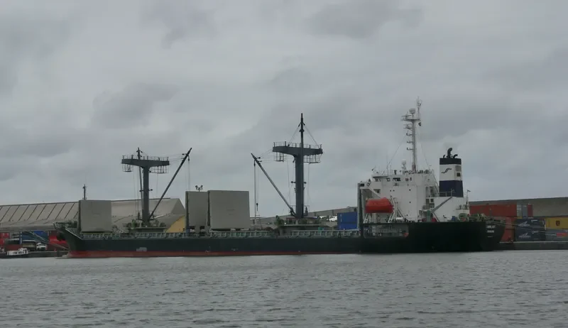 KO SAN Bulk Carrier IMO 9110236