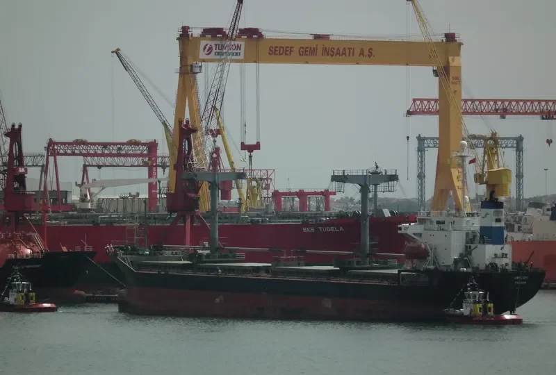KO SAN Bulk Carrier IMO 9110236 photo 2