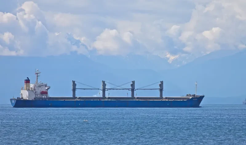 QIN HAI Bulk Carrier IMO 9110274 photo 5