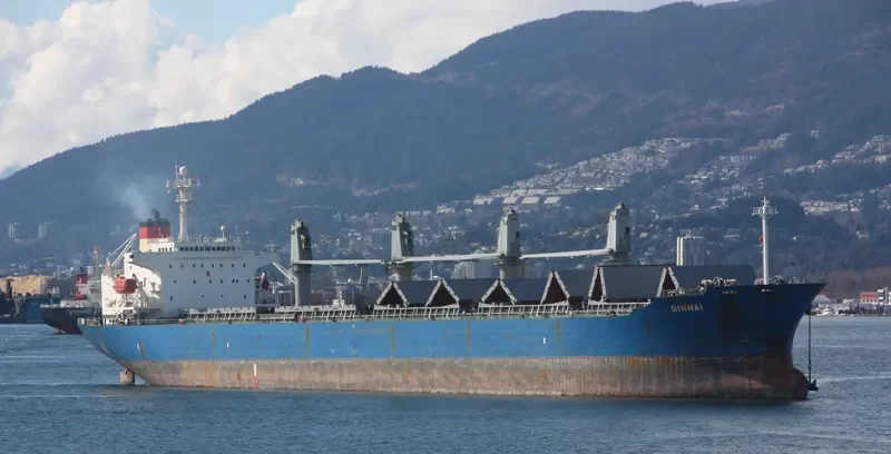 QIN HAI Bulk Carrier IMO 9110274 photo 9