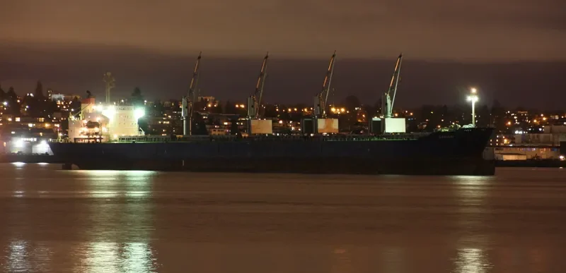 QIN HAI Bulk Carrier IMO 9110274 photo 10