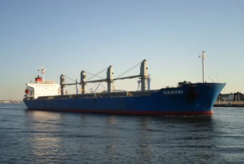 HAN HAI Bulk Carrier IMO 9110286 photo 4