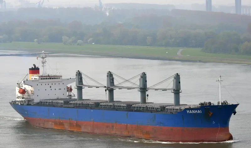 HAN HAI Bulk Carrier IMO 9110286 photo 6