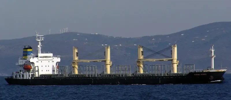 RUN FU 2 Bulk Carrier IMO 9110327 photo 4