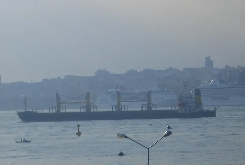RUN FU 2 Bulk Carrier IMO 9110327 photo 6