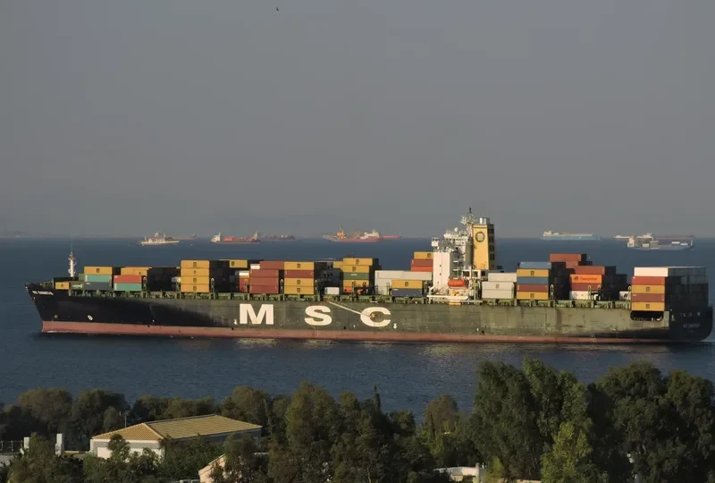MSC SAMANTHA Container Ship IMO 9110377 photo 3