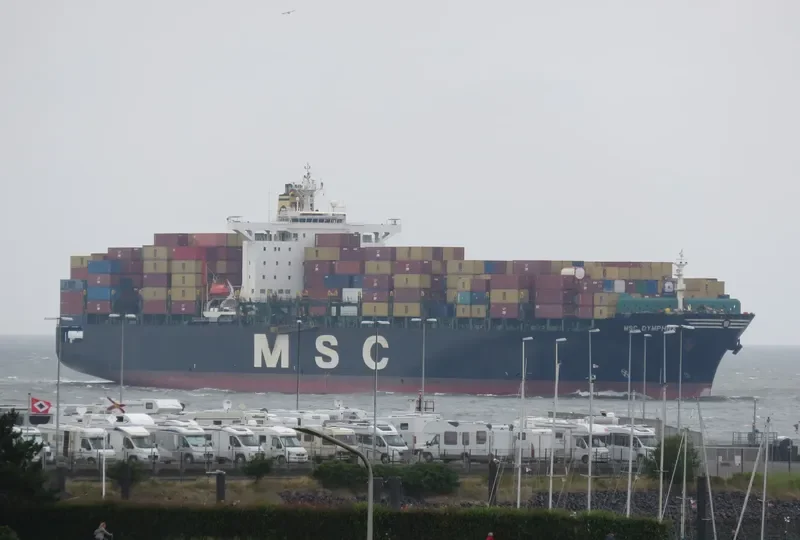 MSC DYMPHNA Container Ship IMO 9110391 photo 3