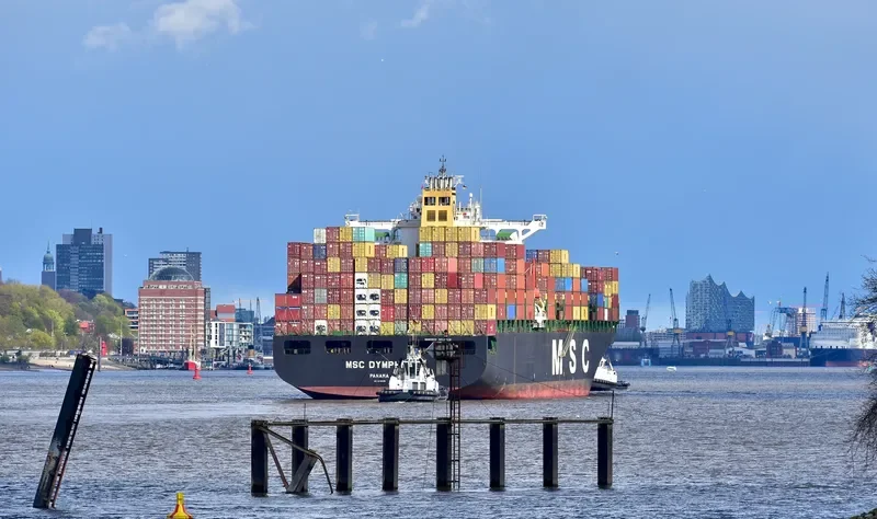 MSC DYMPHNA Container Ship IMO 9110391 photo 4