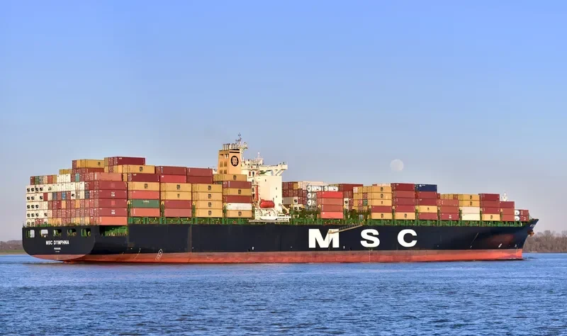MSC DYMPHNA Container Ship IMO 9110391 photo 17