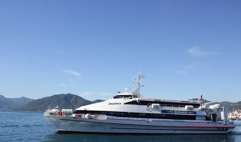AKCAKOCA Passenger Ship IMO 9110418 photo 2