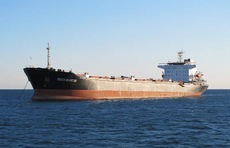PEACH MOUNTAIN Bulk Carrier IMO 9110494