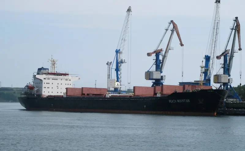PEACH MOUNTAIN Bulk Carrier IMO 9110494 photo 3
