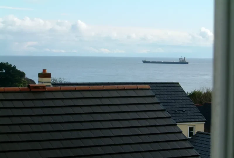 PEACH MOUNTAIN Bulk Carrier IMO 9110494 photo 6