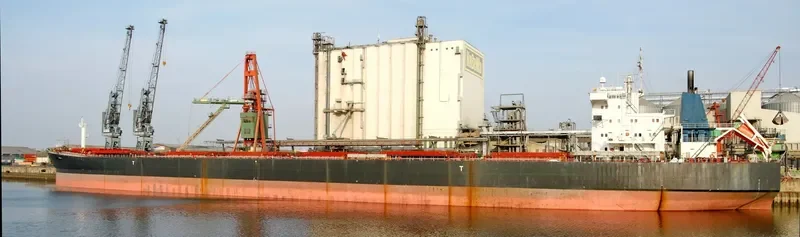 ANCONA Bulk Carrier IMO 9110511 photo 2