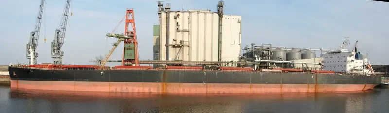 ANCONA Bulk Carrier IMO 9110511 photo 3