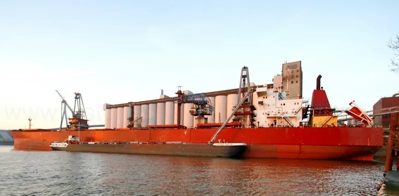 ANGARA Bulk Carrier IMO 9110523 photo 3