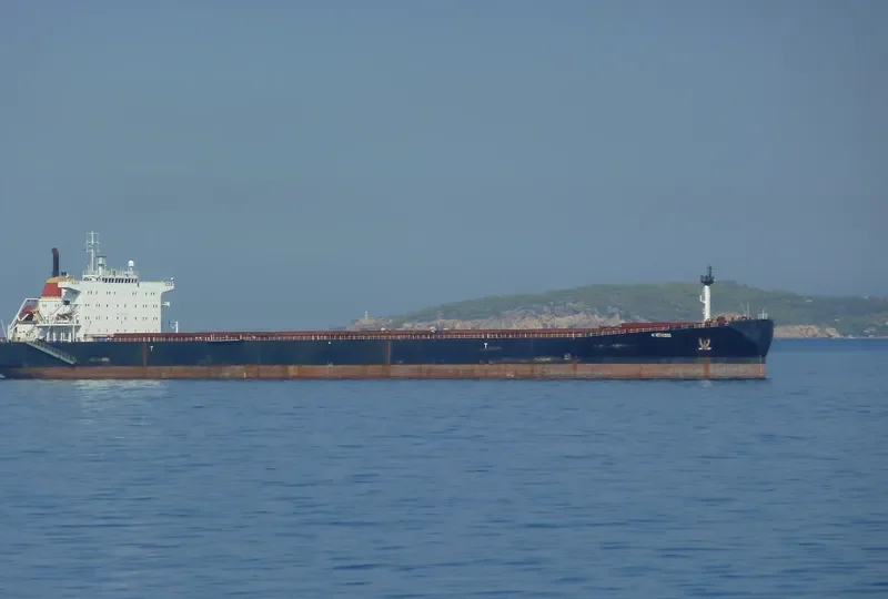 ANGARA Bulk Carrier IMO 9110523 photo 8