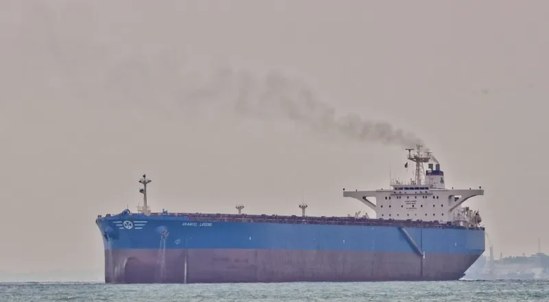 ANANGEL LEGEND Bulk Carrier IMO 9110652 photo 2