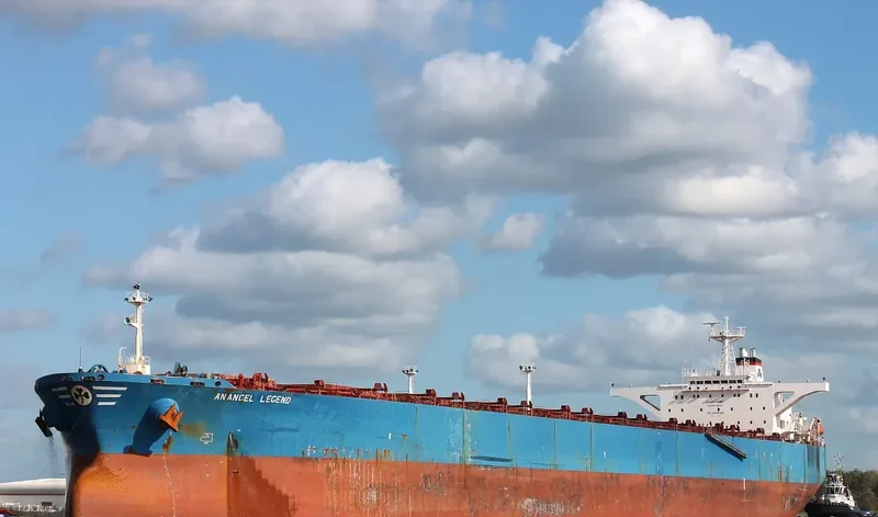 ANANGEL LEGEND Bulk Carrier IMO 9110652 photo 4