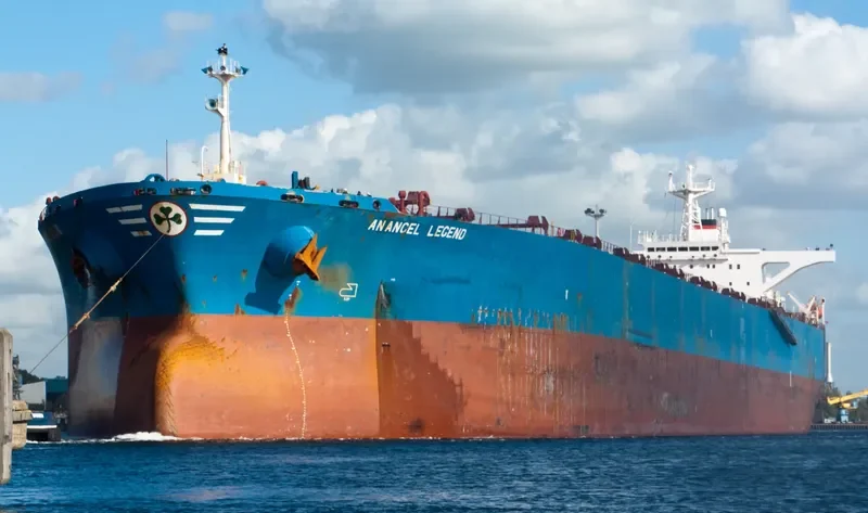 ANANGEL LEGEND Bulk Carrier IMO 9110652 photo 6