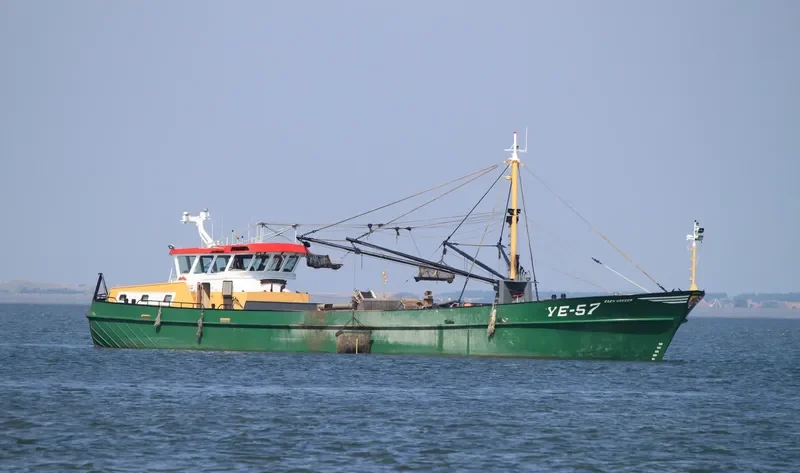 EBEN HAEZER General Cargo IMO 9110834