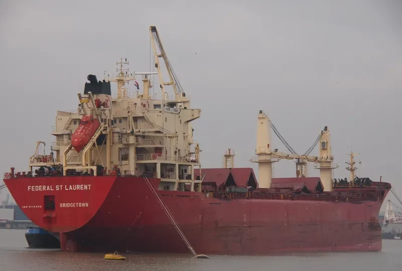 FEDERAL ST.LAURENT Bulk Carrier IMO 9110896 photo 5