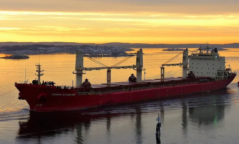 FEDERAL ST.LAURENT Bulk Carrier IMO 9110896 photo 8