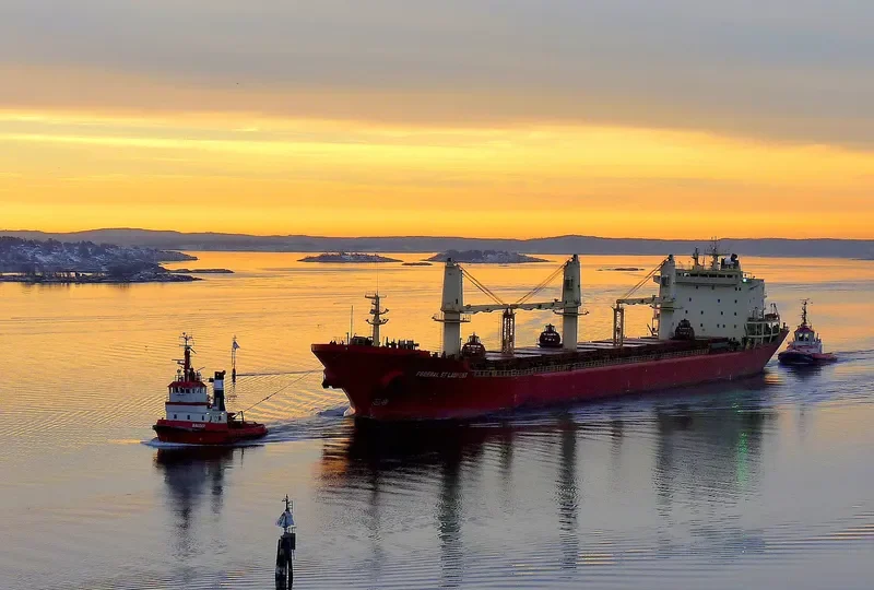 FEDERAL ST.LAURENT Bulk Carrier IMO 9110896 photo 9