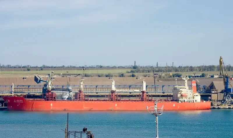 NEW EMERALD Bulk Carrier IMO 9110987 photo 3