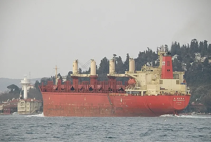 NEW EMERALD Bulk Carrier IMO 9110987 photo 7
