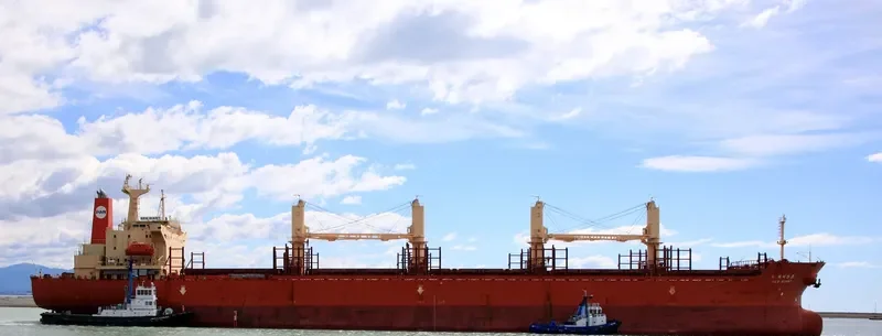 NEW GIANT Bulk Carrier IMO 9111008