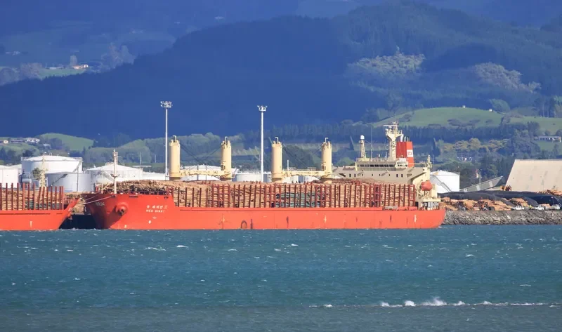 NEW GIANT Bulk Carrier IMO 9111008 photo 9
