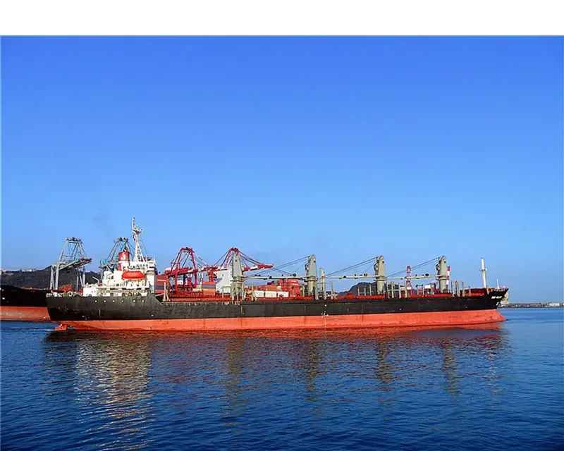 WINDA Bulk Carrier IMO 9111369 photo 9