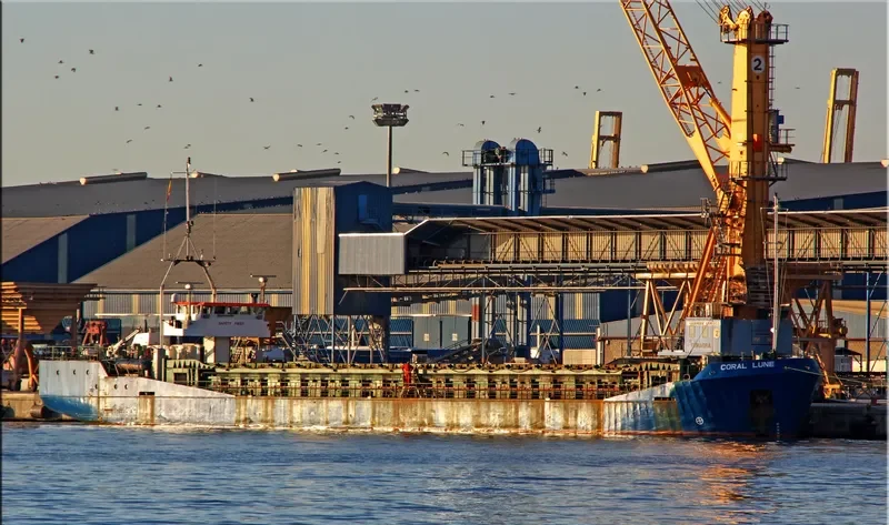 RANIS General Cargo IMO 9111541