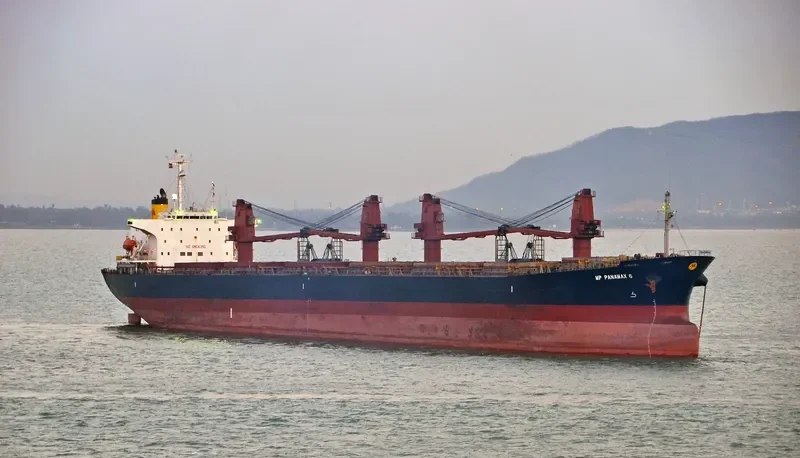 MP PANAMAX 6 Bulk Carrier IMO 9111577