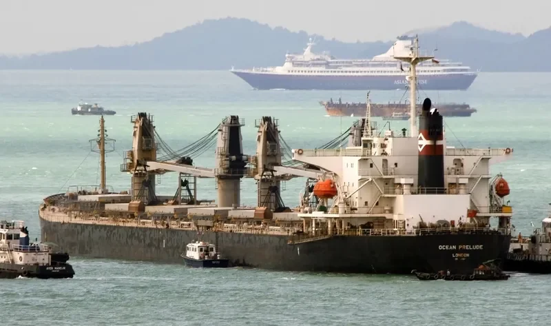 MP PANAMAX 6 Bulk Carrier IMO 9111577 photo 2