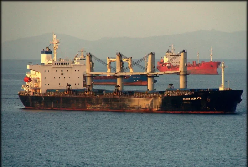MP PANAMAX 6 Bulk Carrier IMO 9111577 photo 3