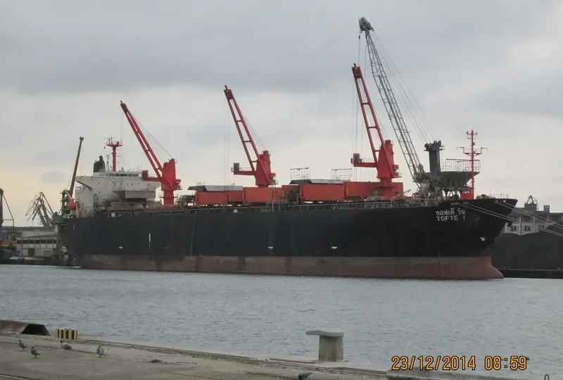 FUTONG EXPRESS Bulk Carrier IMO 9111589