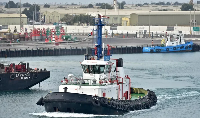 THEODOROS V General Cargo IMO 9111826