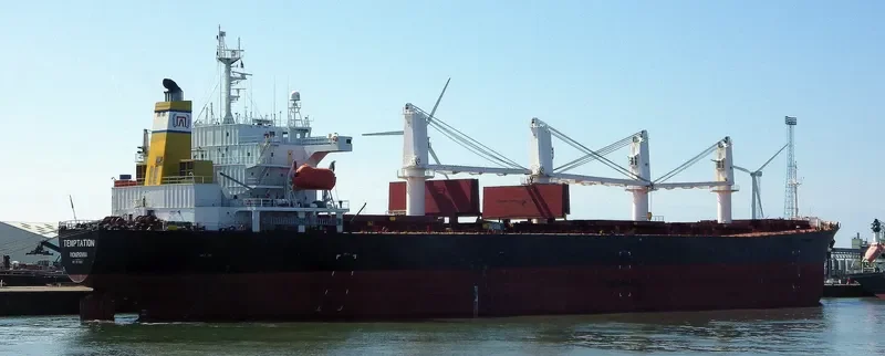 BEST FUTURE Bulk Carrier IMO 9111931