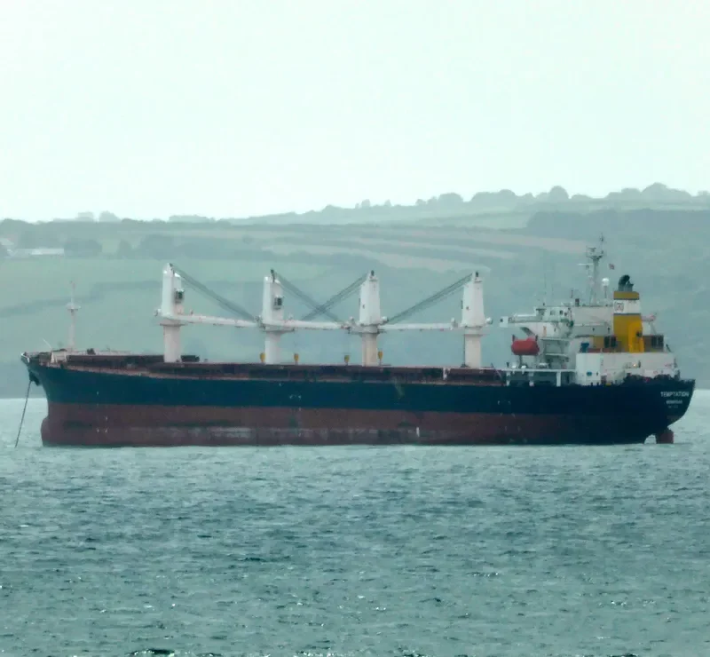 BEST FUTURE Bulk Carrier IMO 9111931 photo 2