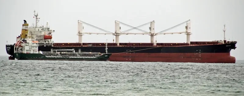 BEST FUTURE Bulk Carrier IMO 9111931 photo 3