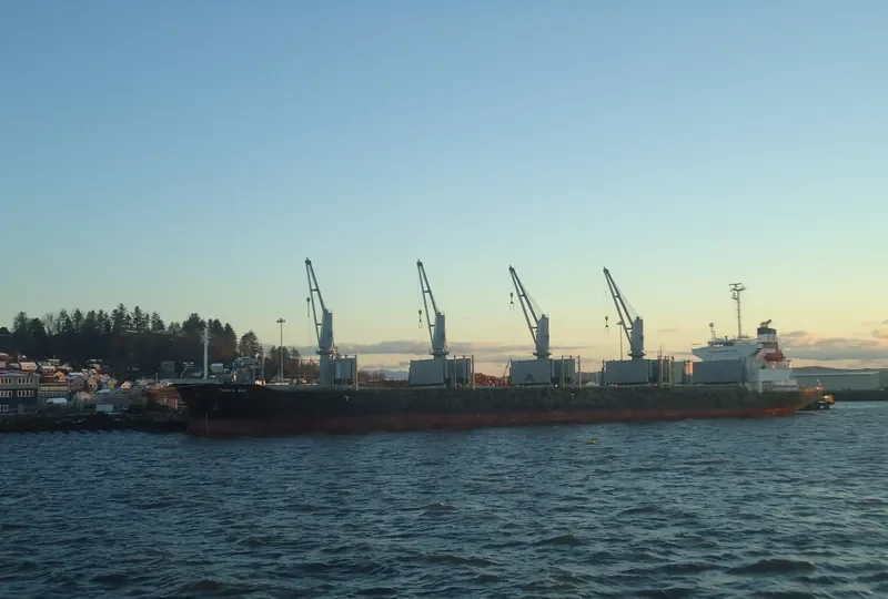 BEST FUTURE Bulk Carrier IMO 9111931 photo 10