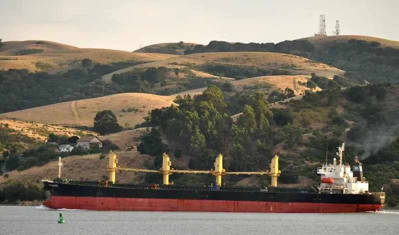 DUKE Bulk Carrier IMO 9111943 photo 4