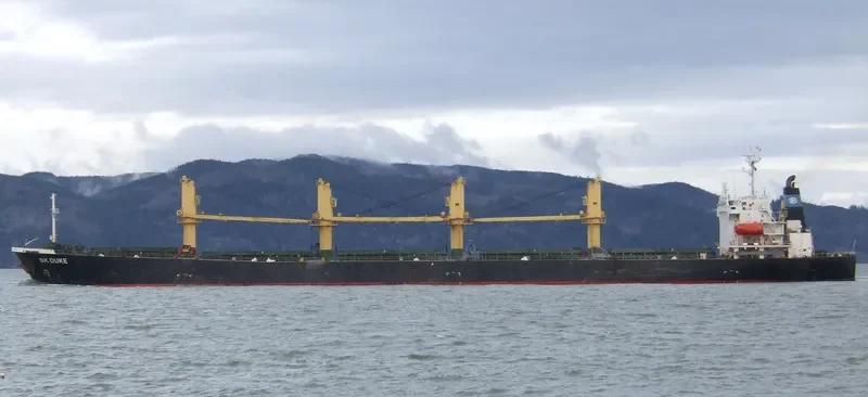 DUKE Bulk Carrier IMO 9111943 photo 5