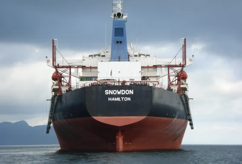 SNOWDON Bulk Carrier IMO 9112313