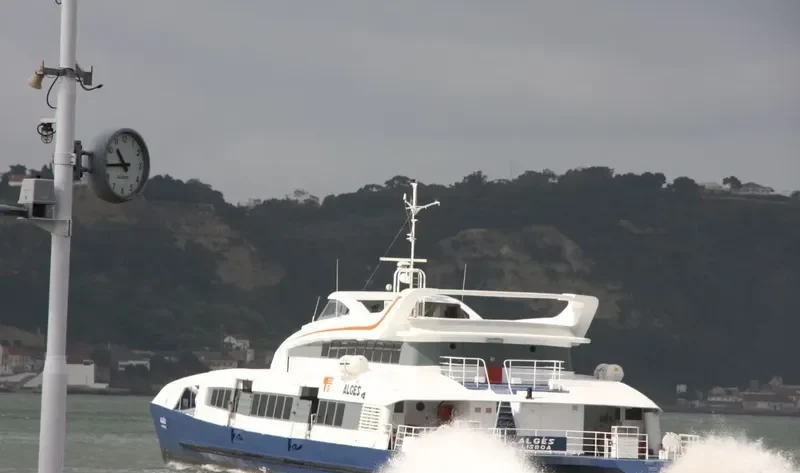 ALGES Passenger Ship IMO 9112521 photo 6