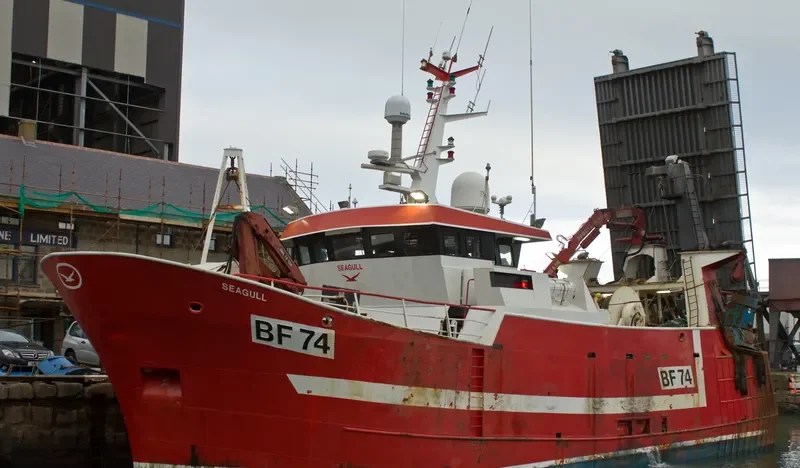 SEAGULL General Cargo IMO 9112545 photo 4
