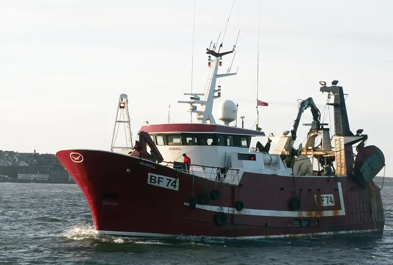 SEAGULL General Cargo IMO 9112545 photo 5